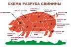 ООО ЛВГ